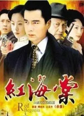 《红海棠》:战火中的凄美爱情,时代洪流下的女性悲歌,乱世佳人的宿命抉择!